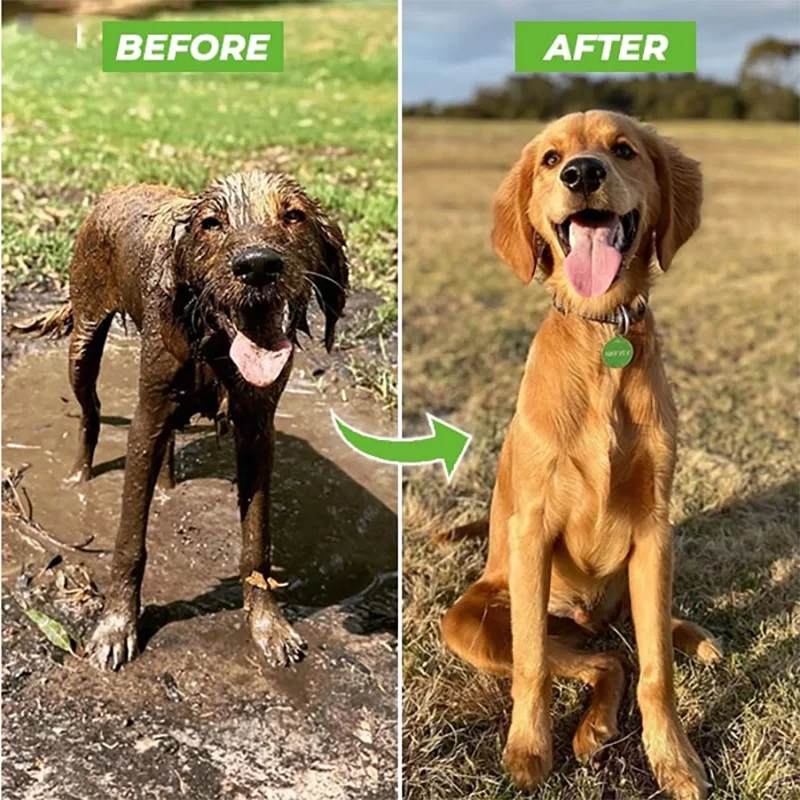 Adjustable Foam Dog Wash Sprayer